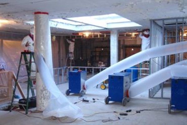 Mold_Remediation